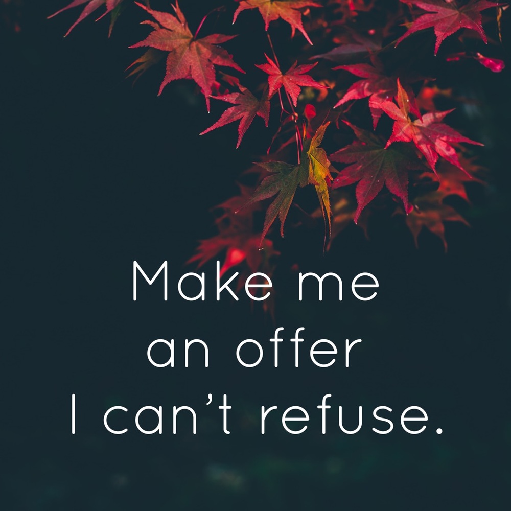 ALWAYS OPEN TO REASONABLE OFFERS 🍂